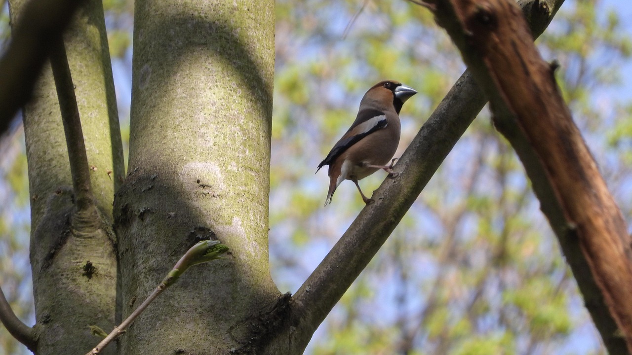 gc9cfc2538441eddd9070235cdf0e26211cddefadda3bb136df214df25349e2429cfe3869cea4d2cd96fb5e6ff074094973f0610d1501a8f369802e0d24b1975a 1280