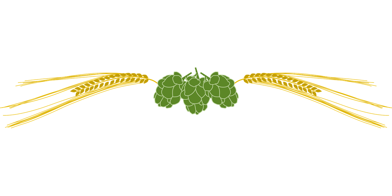 entdecken sie die faszinierende welt des brauens – von traditionellen techniken bis zu modernen trends. erfahren sie mehr über verschiedene bierstile, rezepte und die besten tipps für hobby- und profibrauer.