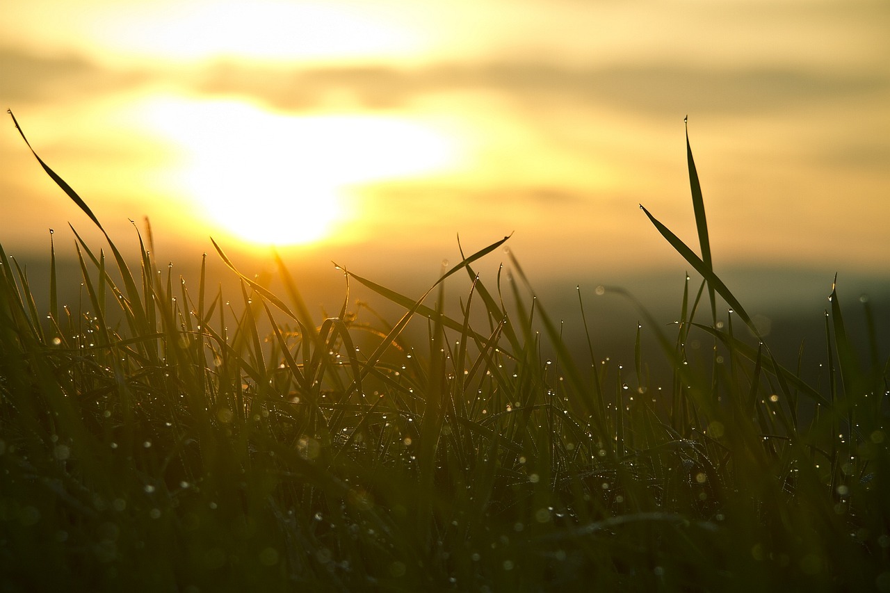 entdecken sie alles über das sonnenlicht: bedeutung, vorteile für die gesundheit, einfluss auf die natur und nützliche tipps zum sicheren sonnenbaden. informieren sie sich jetzt!