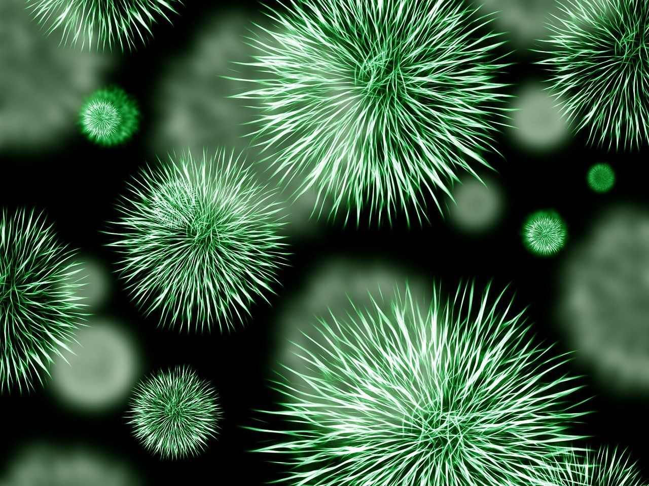 entdecken sie alles über bakterien: ihre eigenschaften, bedeutung für gesundheit und umwelt sowie interessante fakten über diese faszinierenden mikroorganismen.
