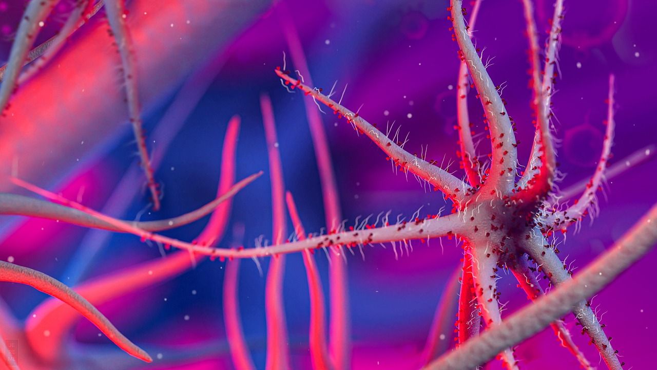 entdecken sie die faszinierende welt der bakterien: erfahren sie alles über aufbau, eigenschaften und bedeutung von bakterien für umwelt, gesundheit und wissenschaft.