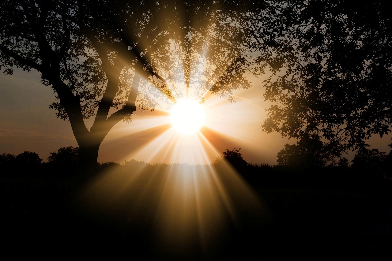 Wie wirkt sich Sonnenlicht auf die Vitamin-D-Produktion aus?