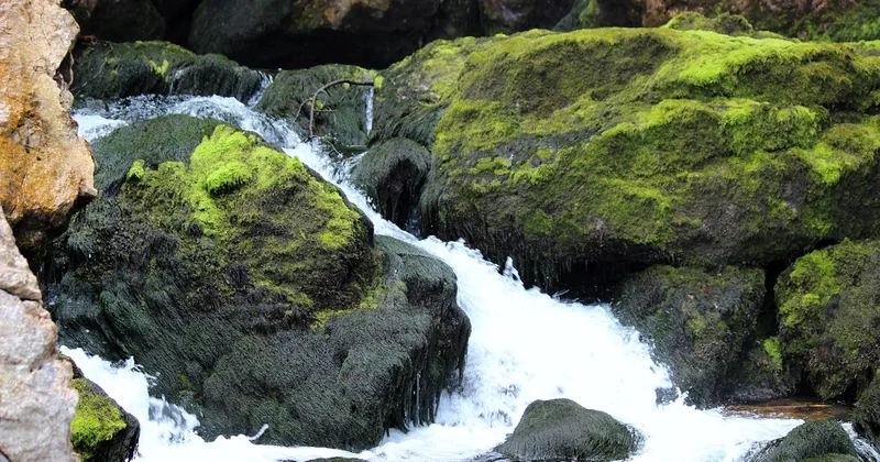 Tännforsen: Der wasserreichste Fall Schwedens