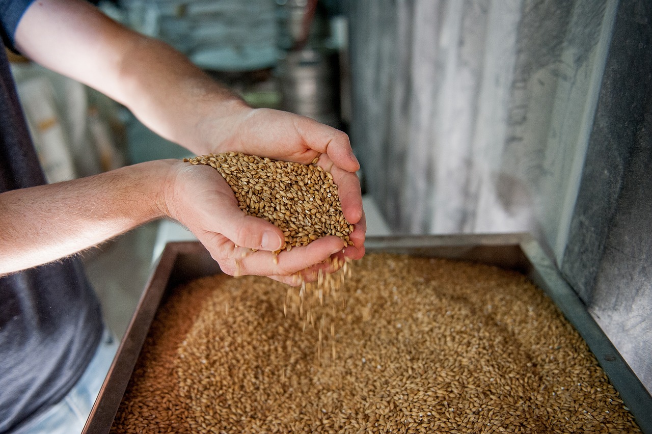 Warum produzieren manche Regionen einzigartige Biere?