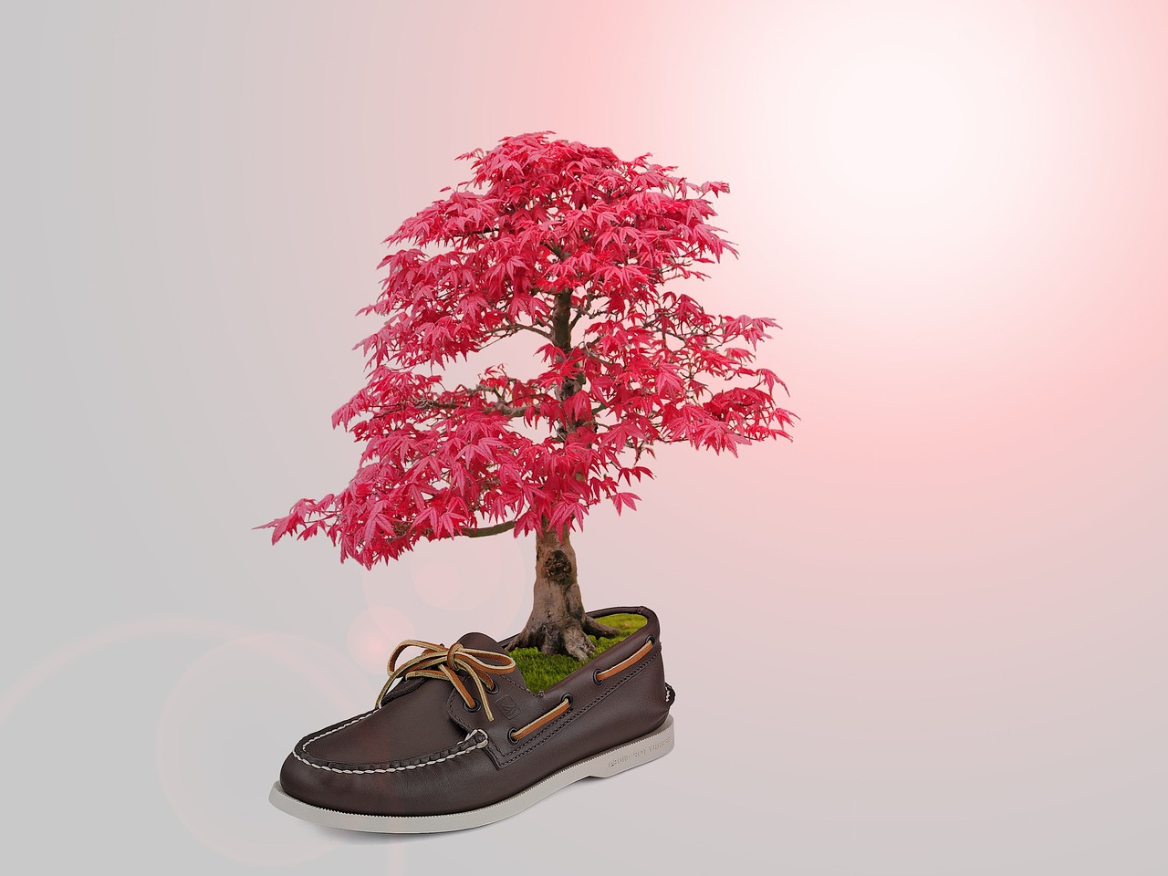Welche Schuhfarben passen zu jedem Outfit universal?