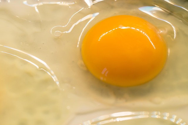 Kochen mit Kindern: Kreative Rezepte für kleine Köche