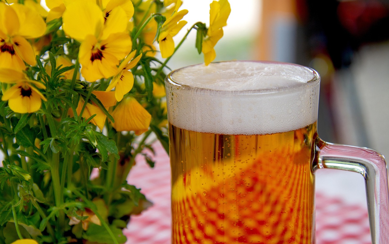 entdecken sie die kunst des bier-pairings: tipps und ideen, wie sie verschiedene biersorten mit passenden speisen kombinieren, um den optimalen genuss zu erleben.