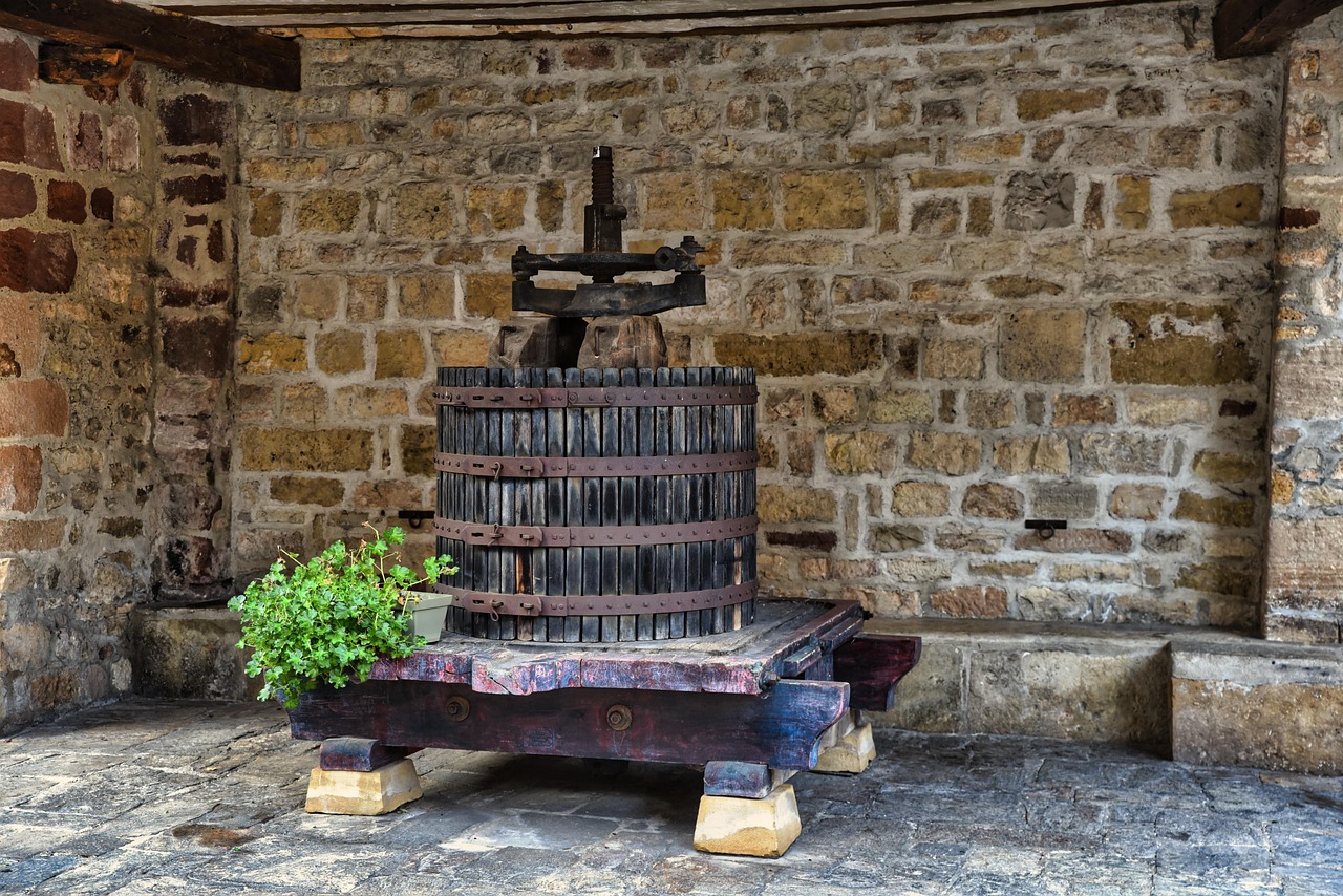 erfahren sie alles über fermentation: die alte methode zur haltbarmachung von lebensmitteln, gesundheitliche vorteile, beliebte rezepte und tipps, um selbst fermentierte produkte herzustellen.
