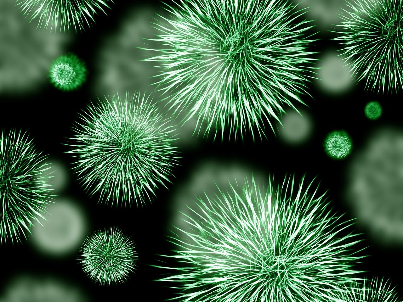 entdecken sie alles über bakterien: ihre eigenschaften, bedeutung für gesundheit und umwelt sowie interessante fakten über diese faszinierenden mikroorganismen.