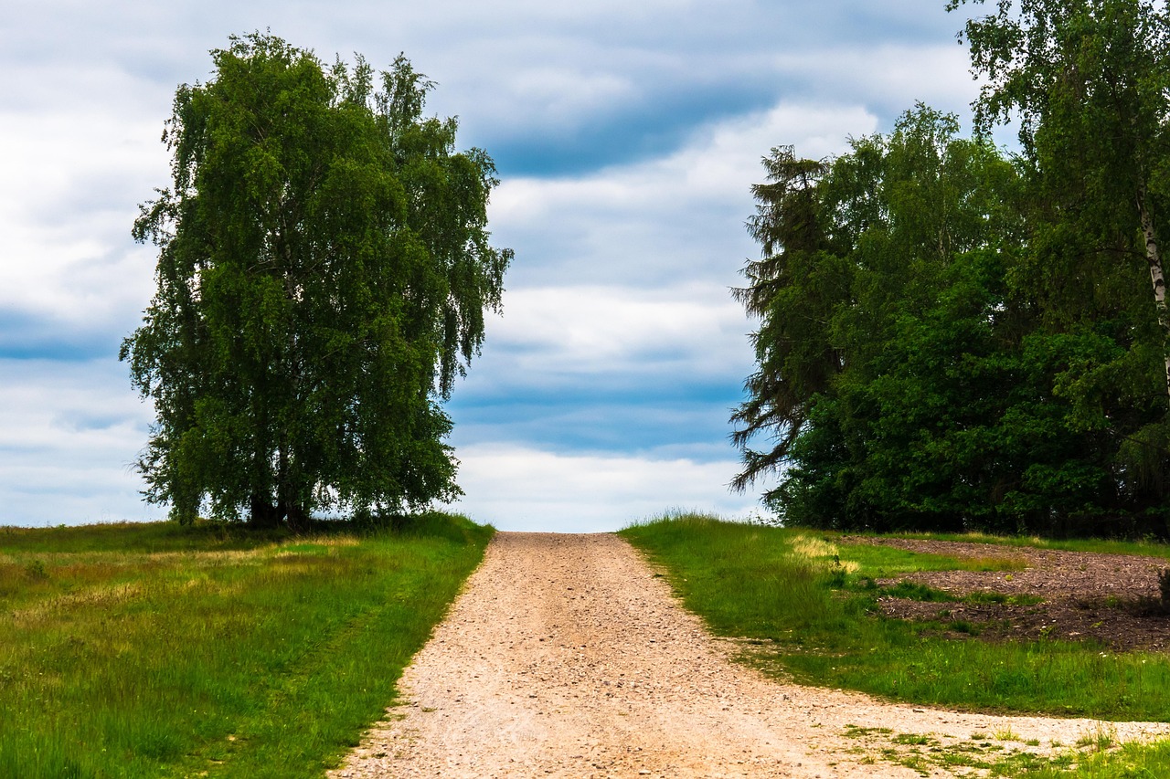 entdecken sie effektive methoden und inspirationen, um ihre lebensrichtung zu finden. erfahren sie, wie sie ziele setzen und ein erfülltes leben gestalten können.